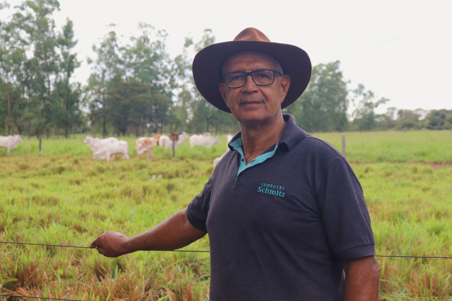 Pecuaristas do Norte de Minas intensificam investimentos em leilões para impulsionar negócios